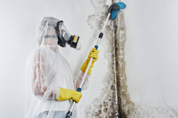 Best Mold Testing  in Muskogee, OK