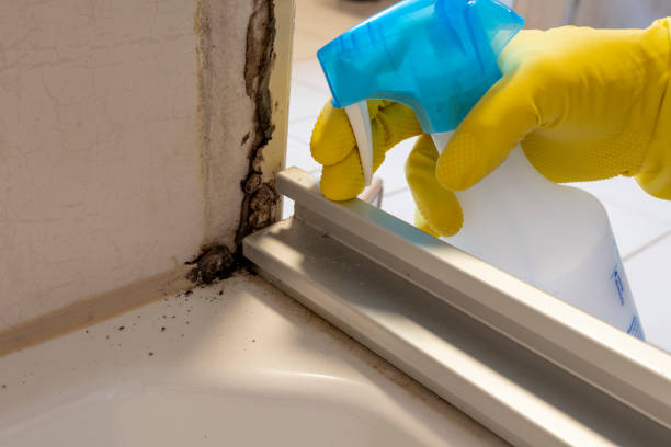 Best Office Mold Removal Services  in Muskogee, OK