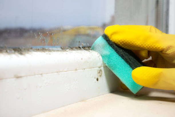 Best Mold Remediation  in Muskogee, OK