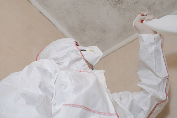 Best Mold Remediation  in Muskogee, OK