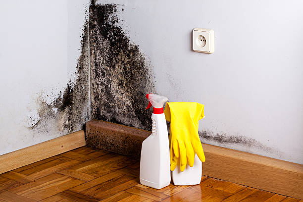 Best Office Mold Removal Services  in Muskogee, OK