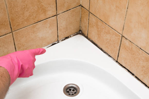 Best Commercial Mold Removal  in Muskogee, OK